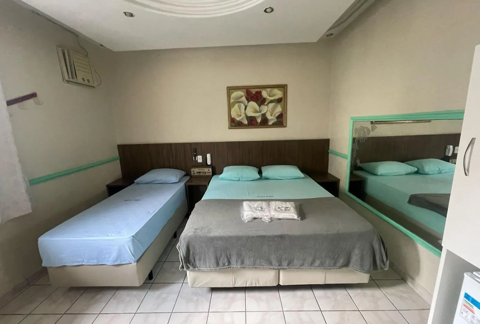 Hotel Puma Sao Paulo 2*,  Brazil