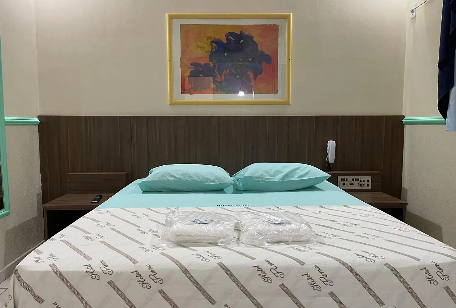 Hotel Puma São Paulo